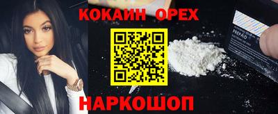 крисы Кулебаки