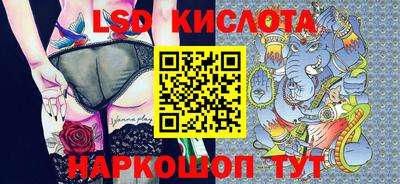 крисы Кулебаки