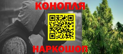 крисы Кулебаки
