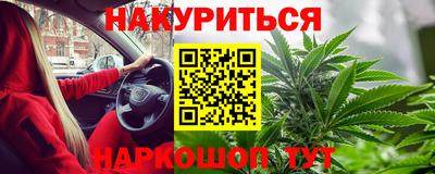 крисы Кулебаки