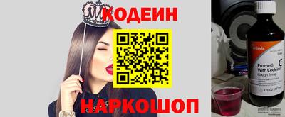 крисы Кулебаки